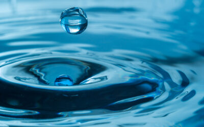 Hospodaření s vodou je pro řadu firem klíčové